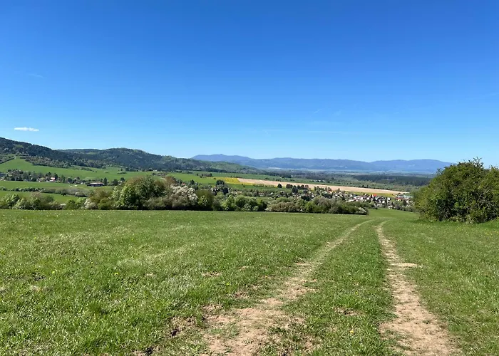 Linden 펜션 Sklené